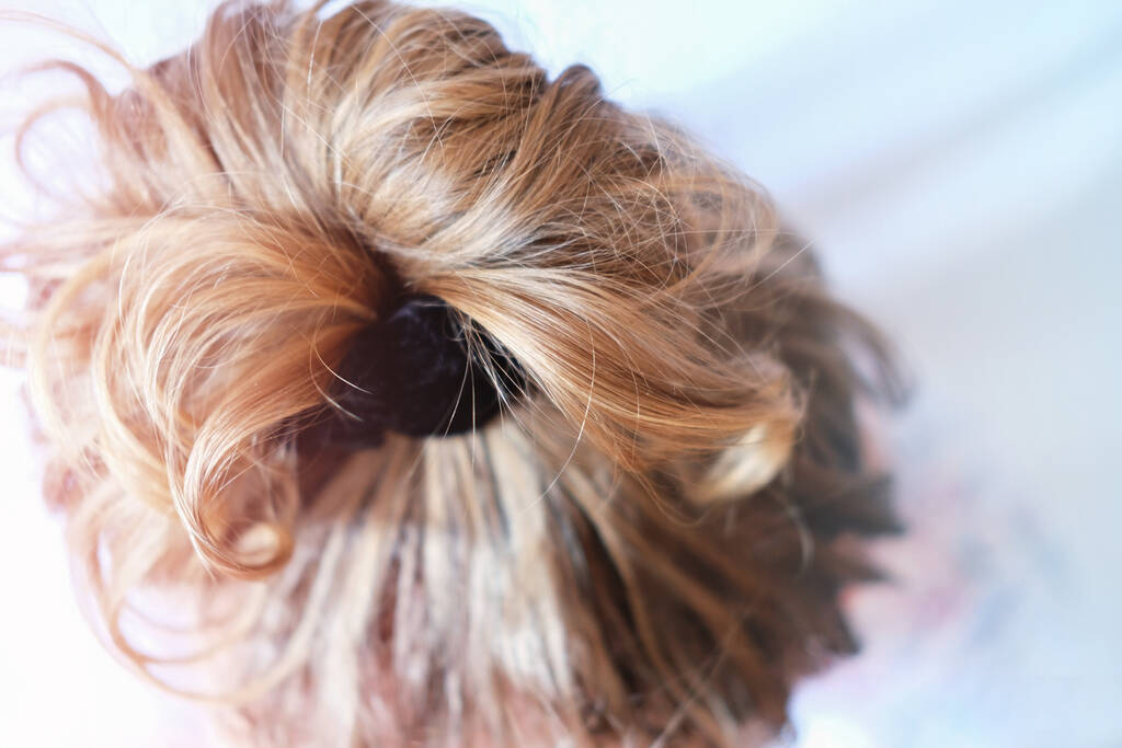 Messy Bun