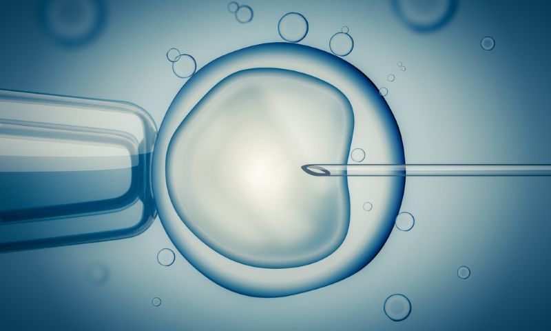 vitro fertilization