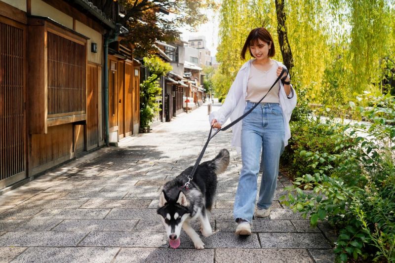  Pet Services