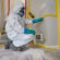 Important Questions to Ask When Hiring Mould Remediation Services