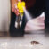 Commercial Pest Control: Keeping Your Business Pest-Free