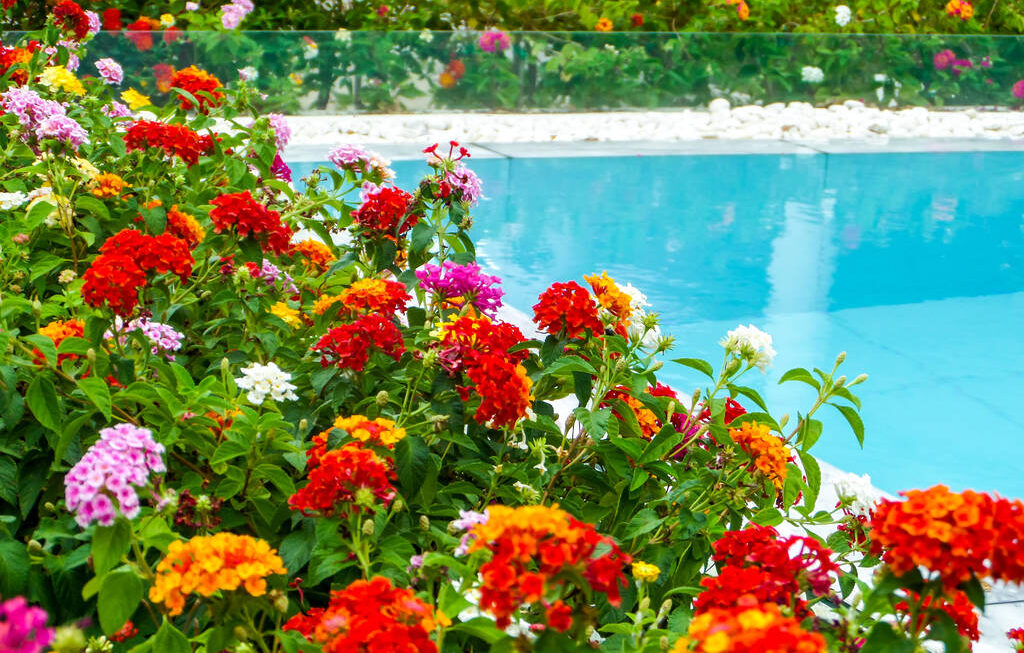 Why installing a garden swimming pool isn’t such a wacky idea