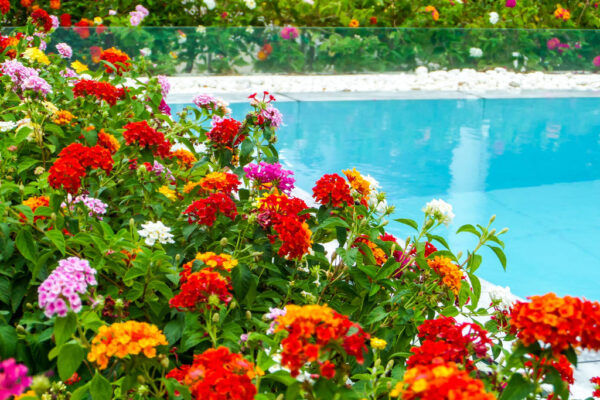 Why installing a garden swimming pool isn’t such a wacky idea