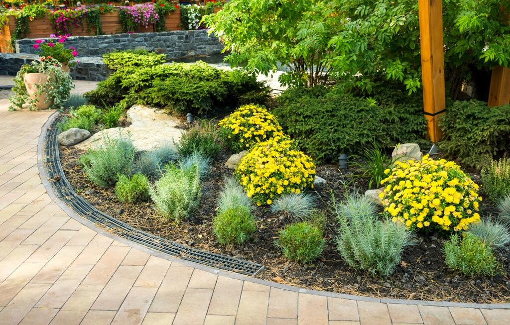 7 Landscape Design Tips for Beginners