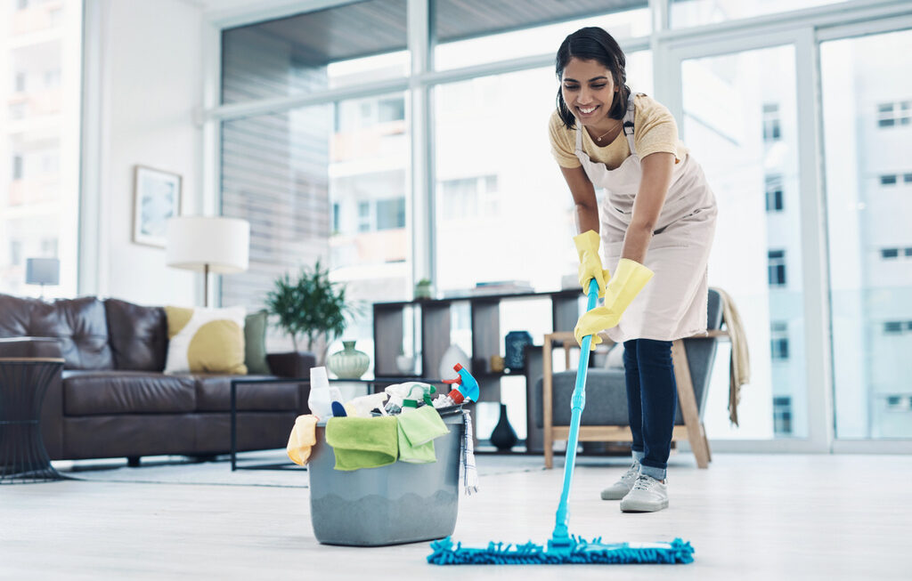 Exploring the Role of Professional Cleaners for Your Home