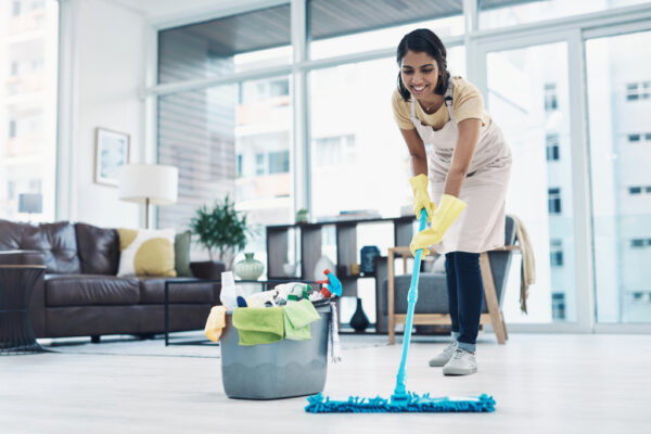 Exploring the Role of Professional Cleaners for Your Home
