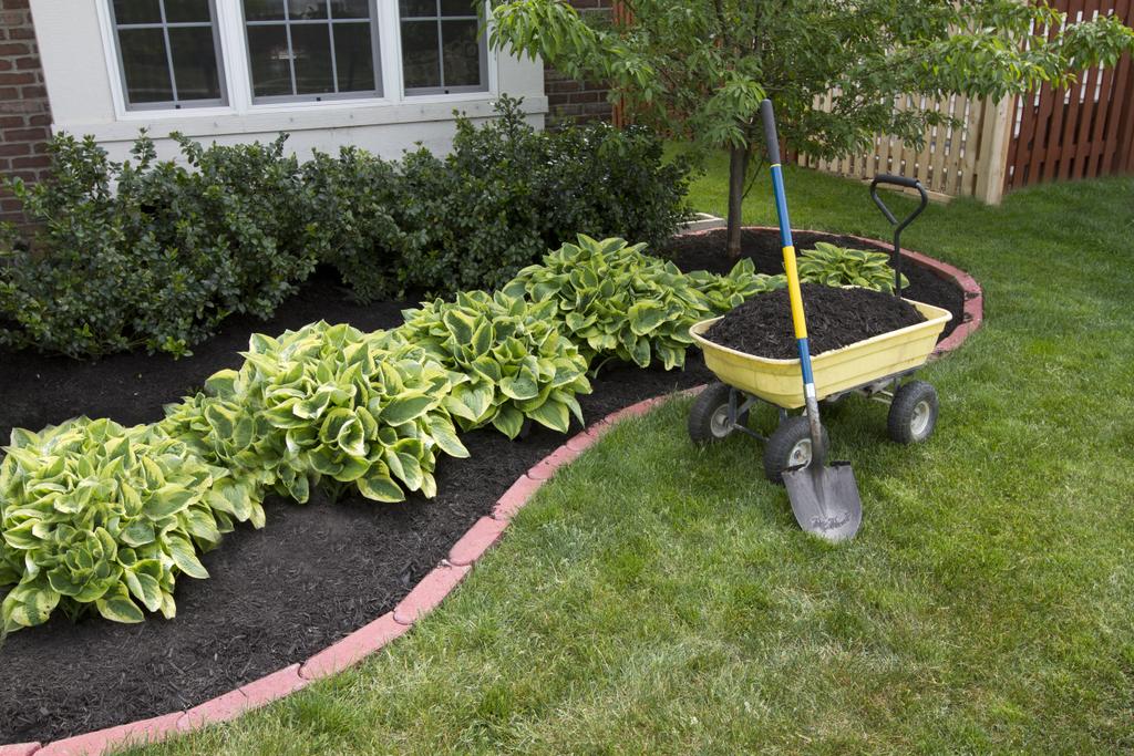 Landscape Design Tips 