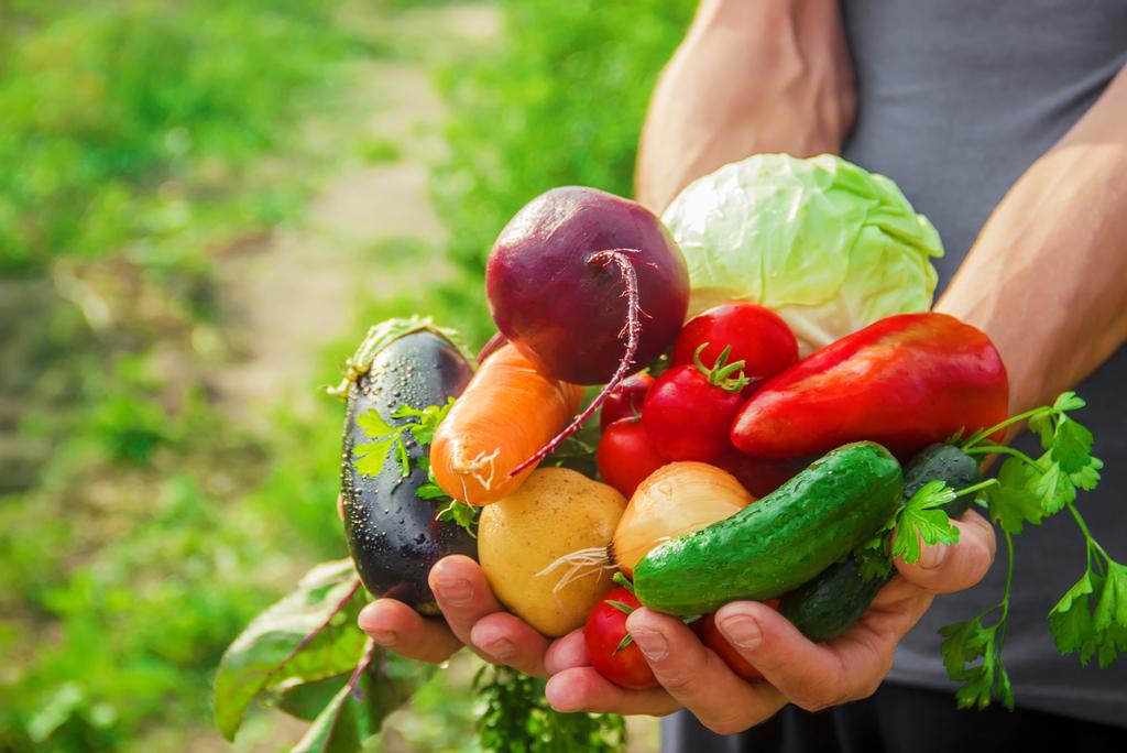 Homemade vegetables