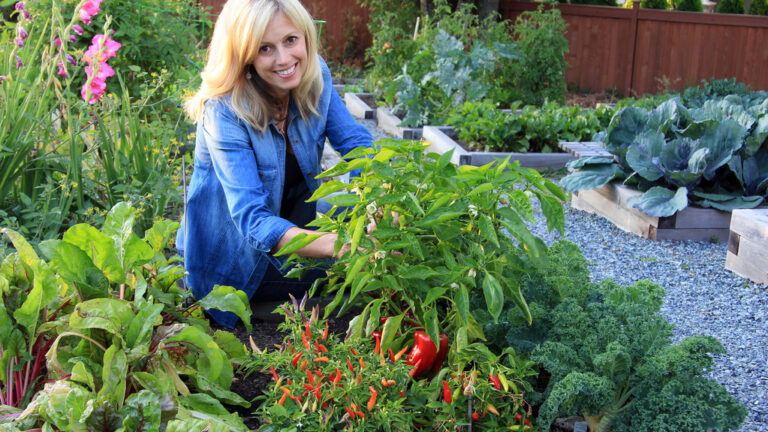 vegetable garden