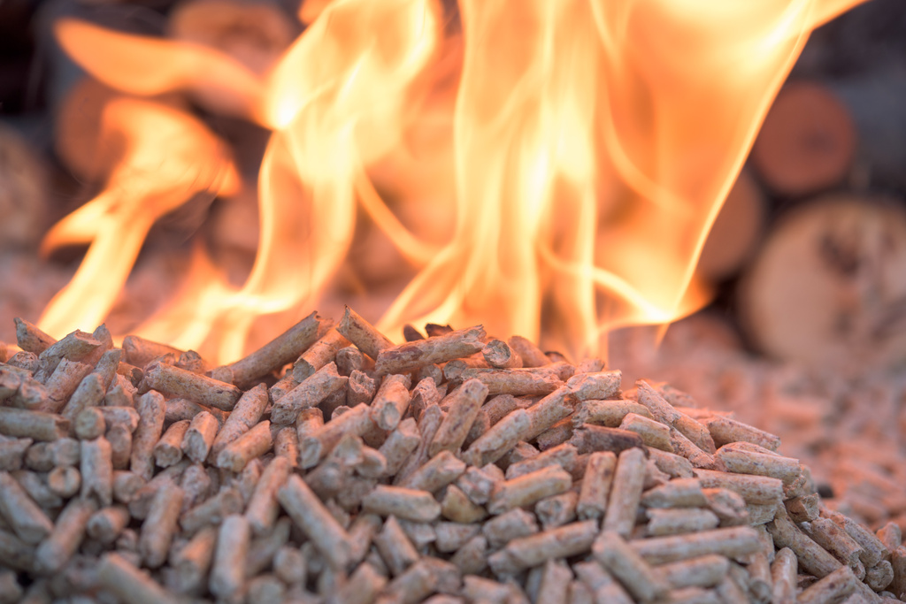 Biomass Heating