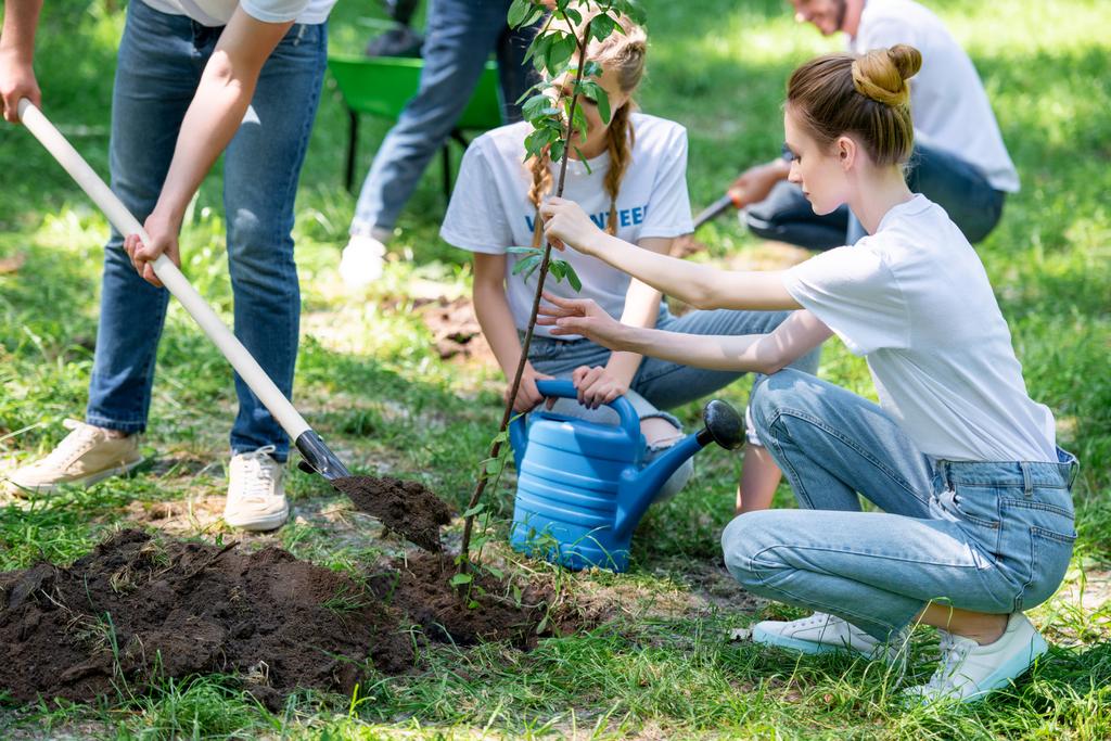 environmental projects