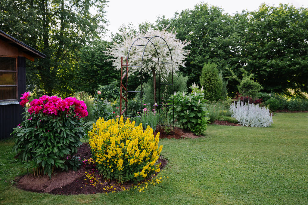 Beautiful blooming flower bed