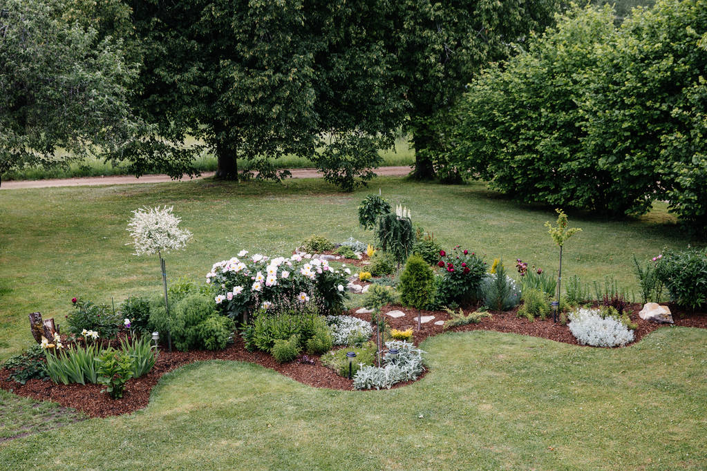 Low-Maintenance Garden