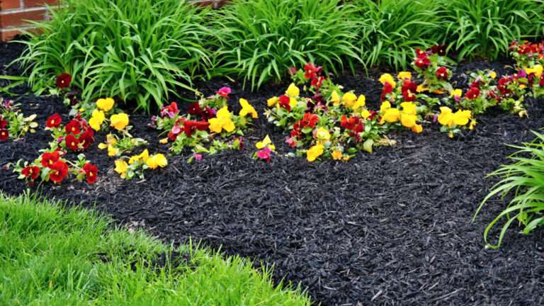 Spring flowerbed