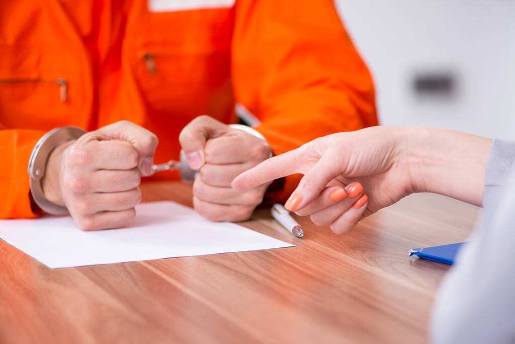 Criminal Defense Attorney