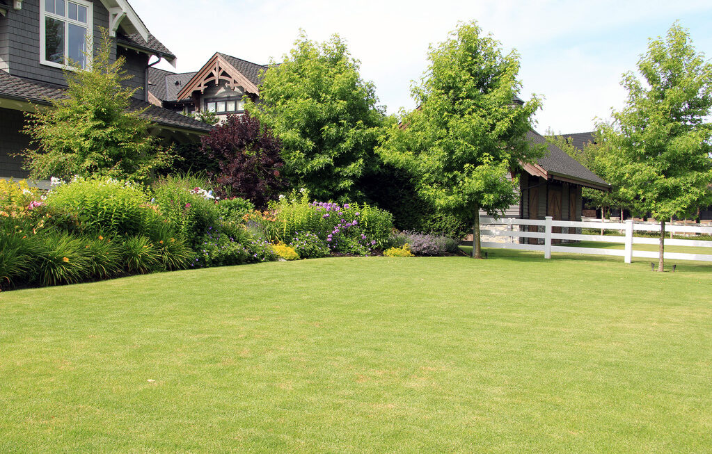 Top 5 Strategies To Make Lawn Care Easier