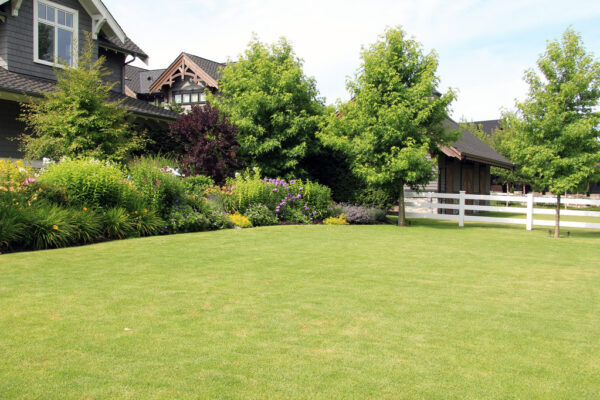 Top 5 Strategies To Make Lawn Care Easier