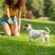 Busy Pet Owners : 5 Helpful pet care tips