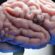 May is Brain Tumor Awareness Month in Canada